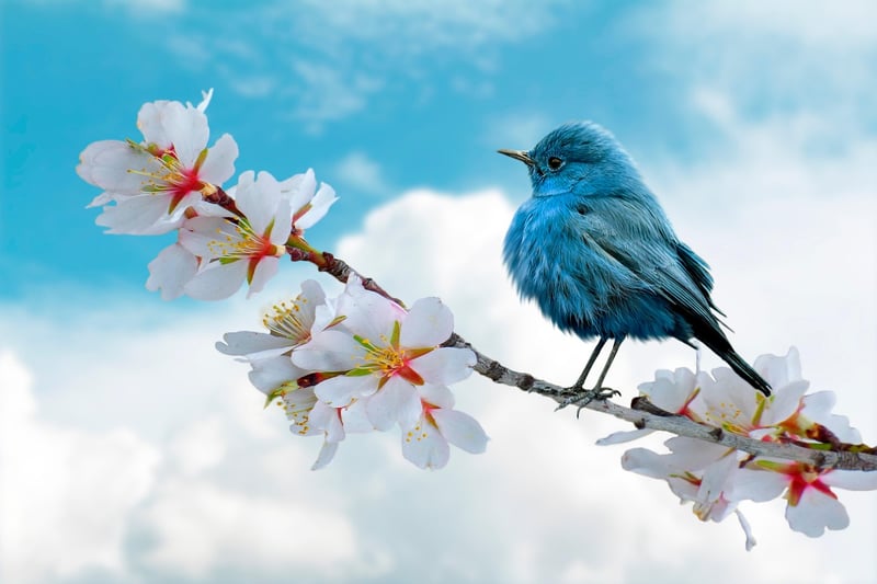 Nature collage art